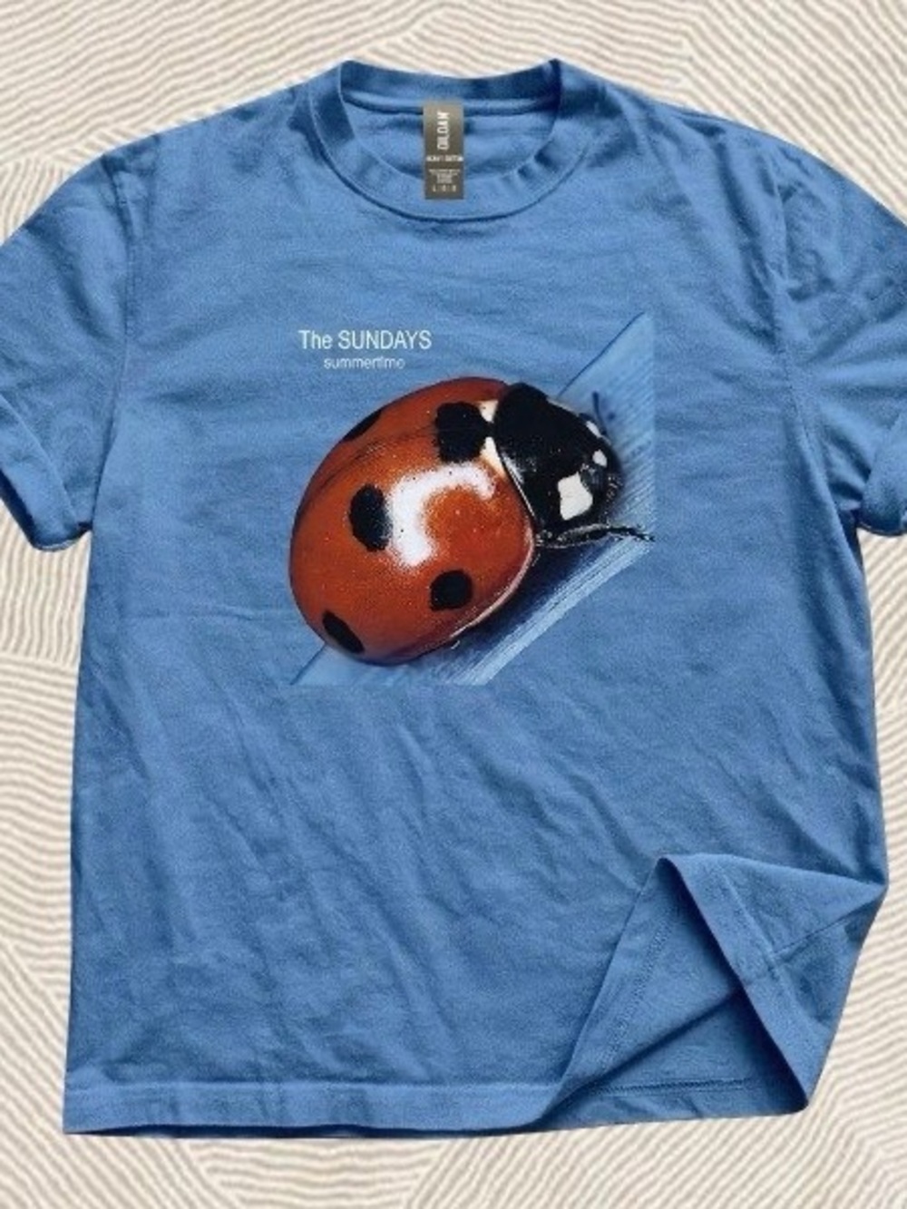 Blue The Sunday Summertime Ladybug Graphic Tee